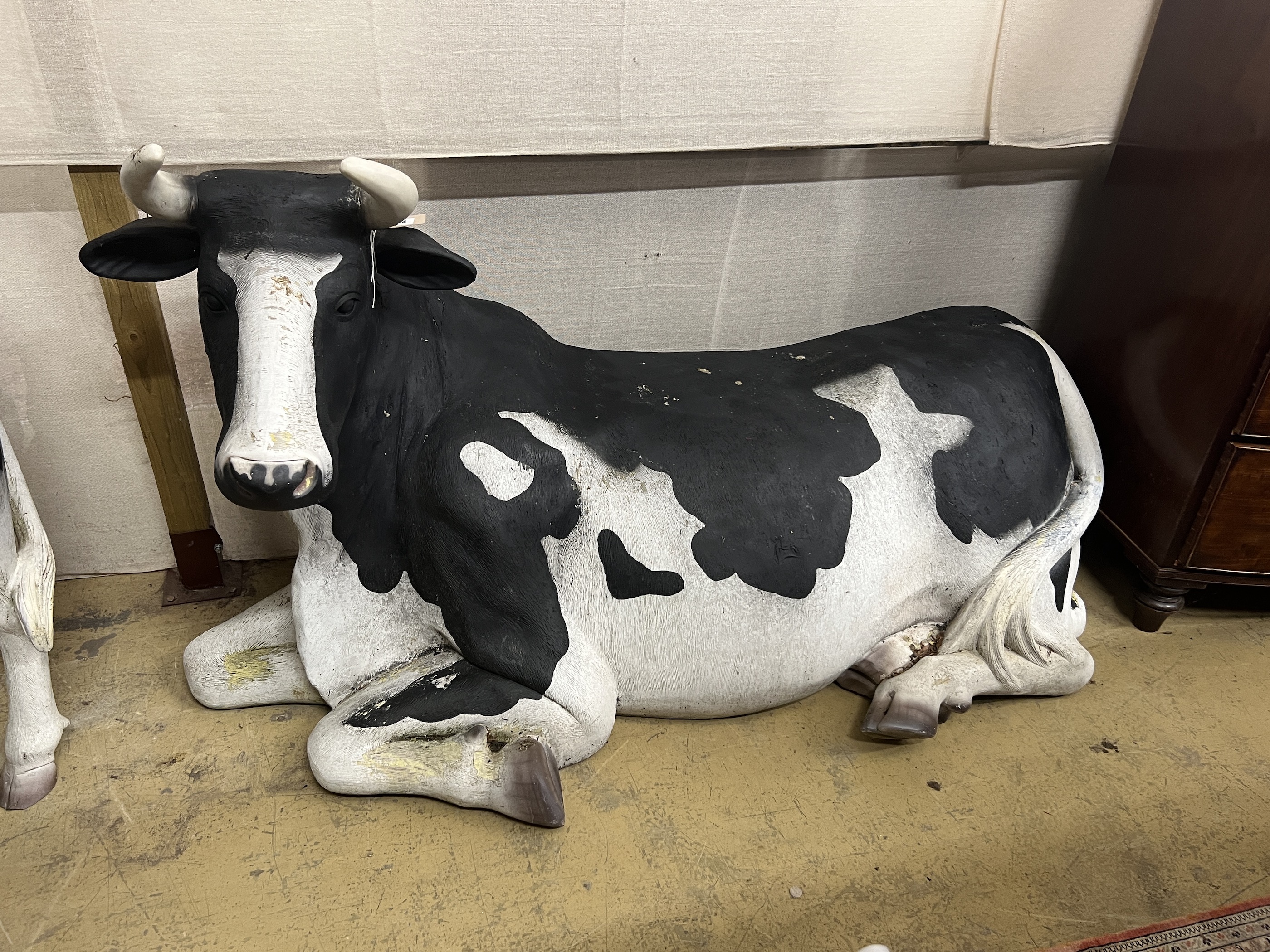 A life size composition recumbent Friesian cow garden ornament, length 180cm, height 103cm